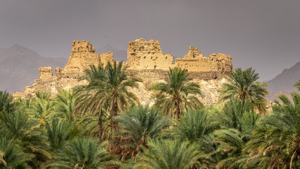 Vision 2040 dell'Oman: Un Futuro Sostenibile e Diversificato