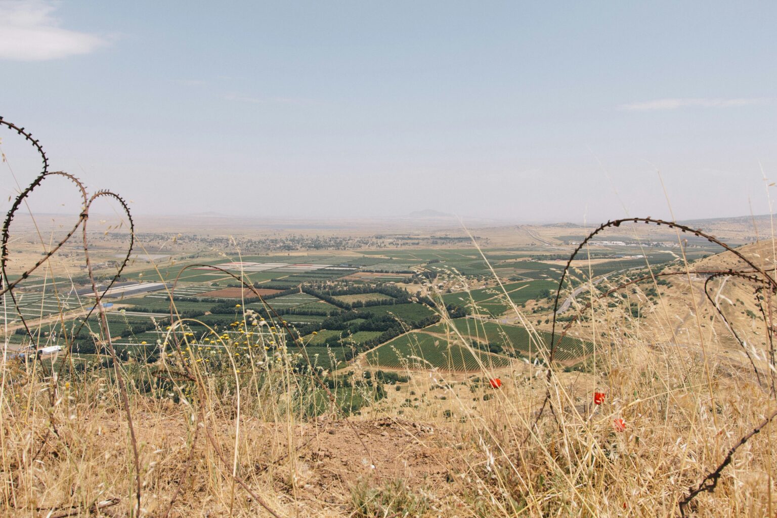 golan alture