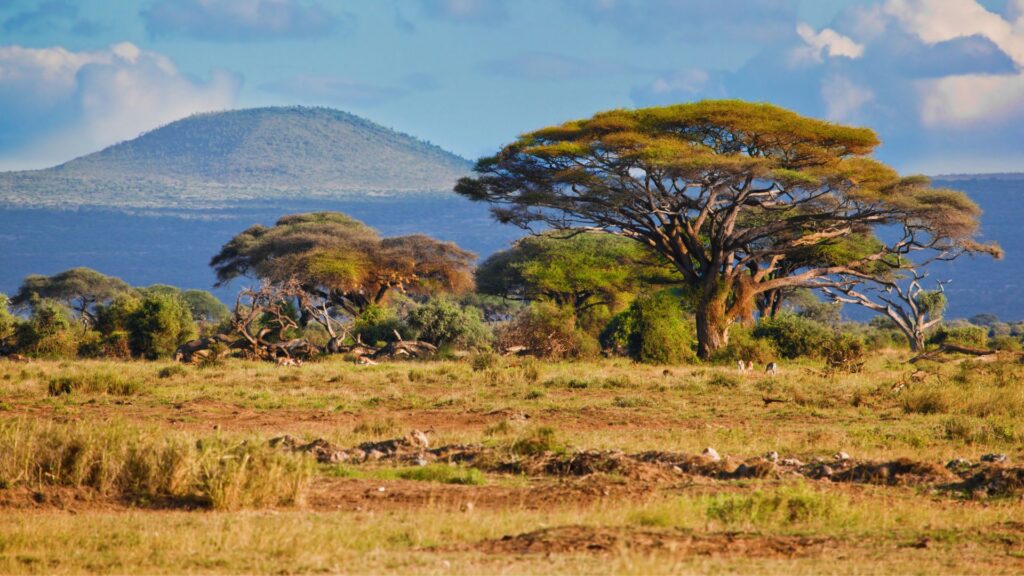 Africa Meridionale
