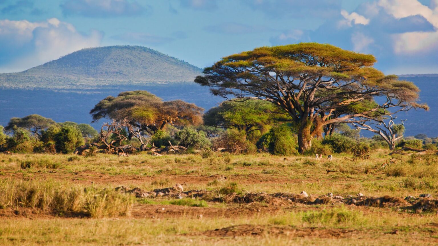 Africa Meridionale