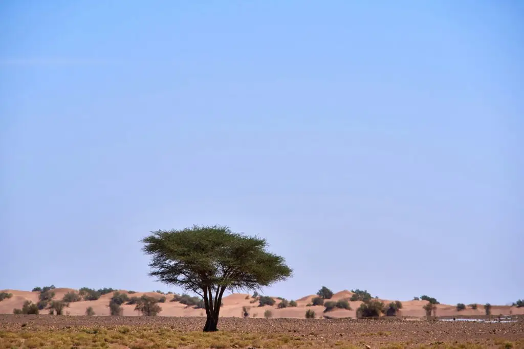 grande diga sennar sudan