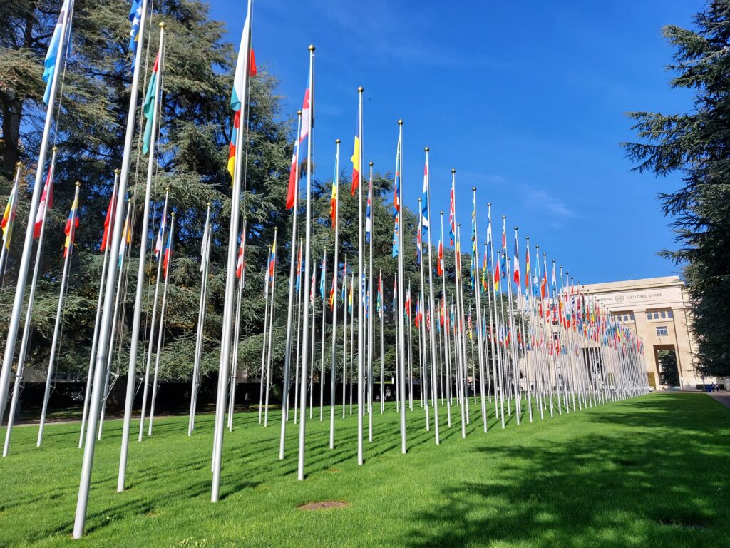 ORGANIZZAZIONE NAZIONI UNITE ONU